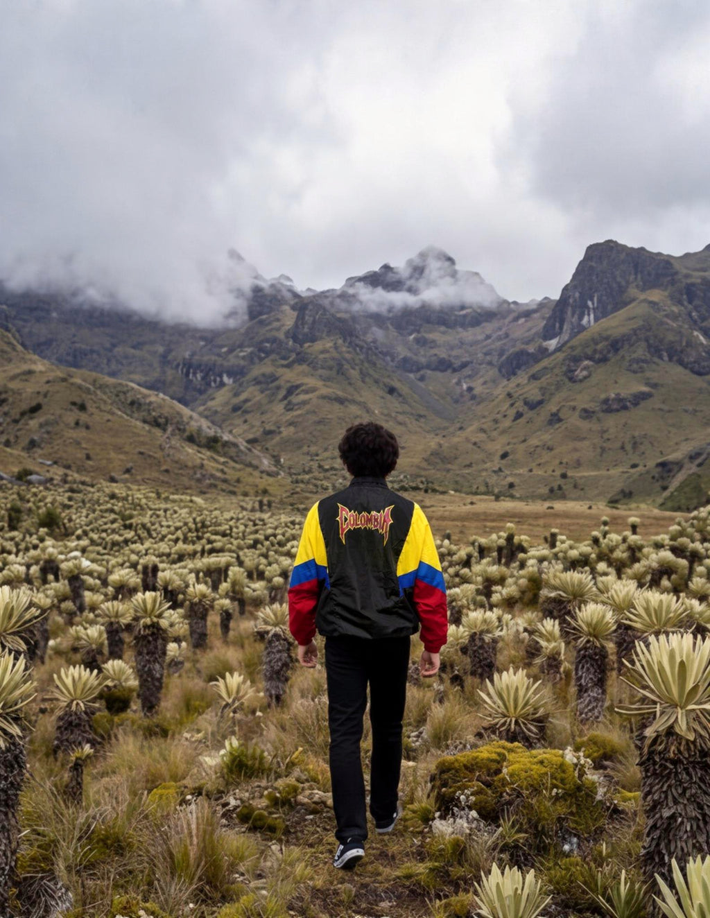 ROMPEVIENTOS COLOMBIA